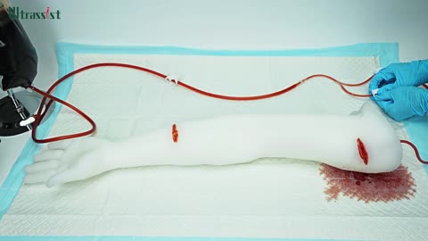 Translucent Hemorrhage Control Arm Trainer with Dual Wounds