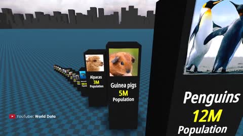 Animal Populations 3D COMPARISON.