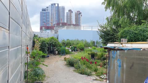 private garden in a city