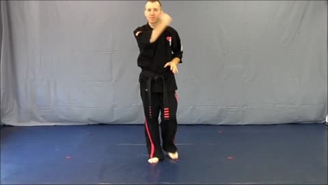 Basic Skillz Red Belt - Purple Stripe