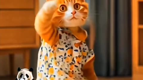 #dancing cat