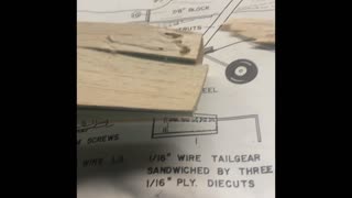 Termites invade balsa model