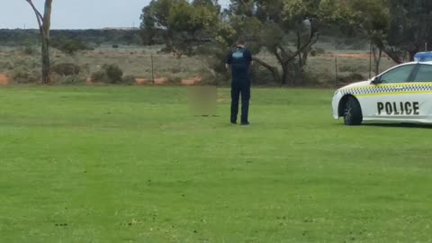 Policeman Unsuccessfully Puts Down Injured Kangaroo with Handgun