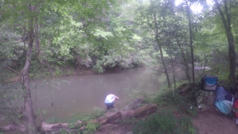 Trout haul (the cleanup)