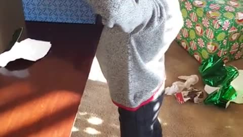 Kid gets pranked with canned foods for Christmas