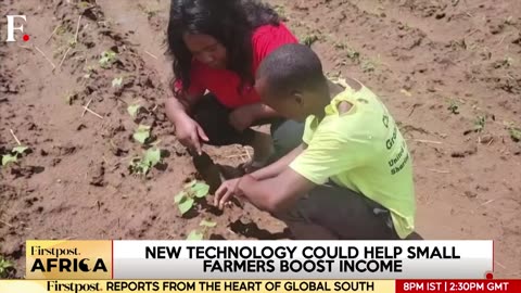 Malawi: Students Use Chinese Farming Techniques For Agricultural Development| Firstpost Africa