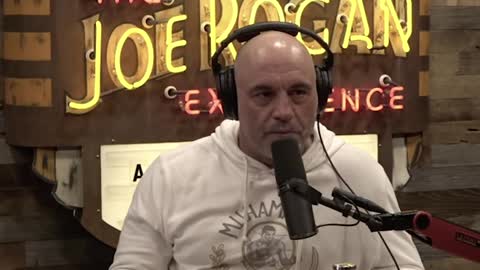 Joe Rogan: ‘How Many People Are Doing it Under the Guise of I’m an LGBTQ Educator!’