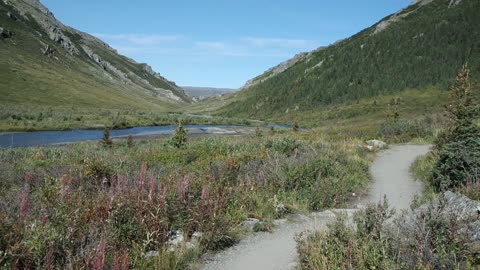 Denali National Park - Trekking Tour