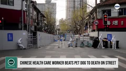 Chinese Health Care Worker BEATS PET DOG to DEATH on Street