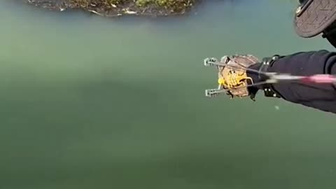 A fun way to fish