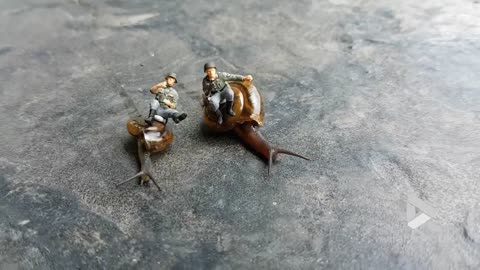 Two soldiers hitching a ride on some snails