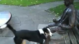 Dog Wants To Play With Male Statue - Very Funny