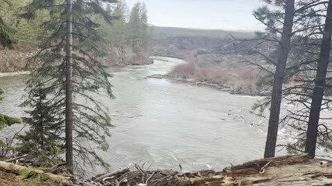 Hiking Through Beautiful Forest Above Deschutes River – Central Oregon – 4K