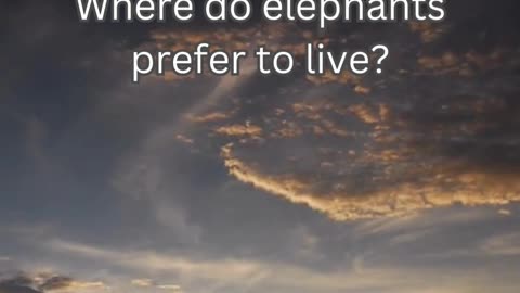 Elephant Fact 3 - Where do elephants prefer to live?