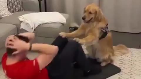 Dog Training with man