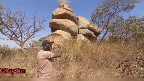 Lion Park Zimbabwe a world of Wonders.