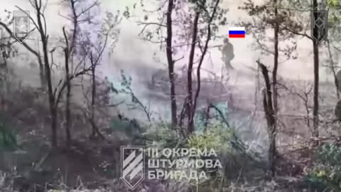 Ukrainian Drones Lighting Up Russian Infantry Group