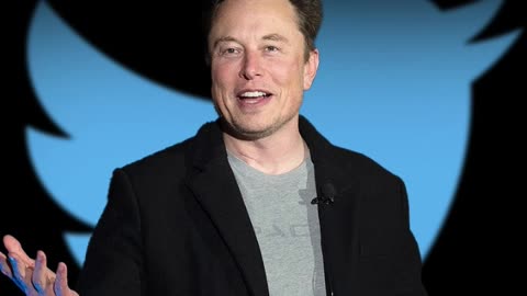 elom musk goutes