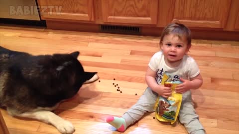 Dogs vs Babies !!!