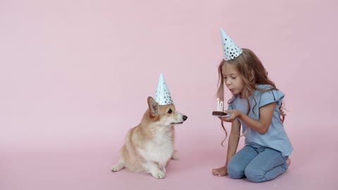 Birthday dog best video happy birthday