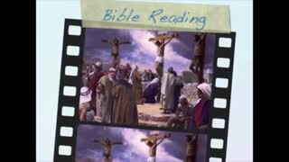 September 8th Bible Readings