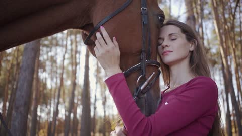 Close-up of a young Caucasian woman caressing horse in the autumn forest and smiling