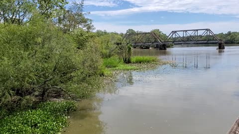 Penny's adventure to the Altamaha River Park