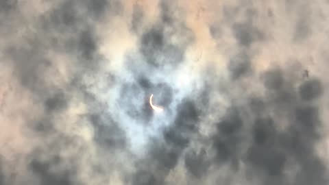 Solar Eclipse-94% total-Houston, Texas, USA...plus webworms going nuts.