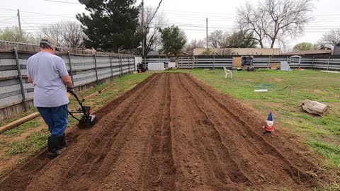 Troy Bilt Rototiller and the Old Timer