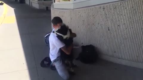 Dog owner reunited with best friend after 4 months apart_360p