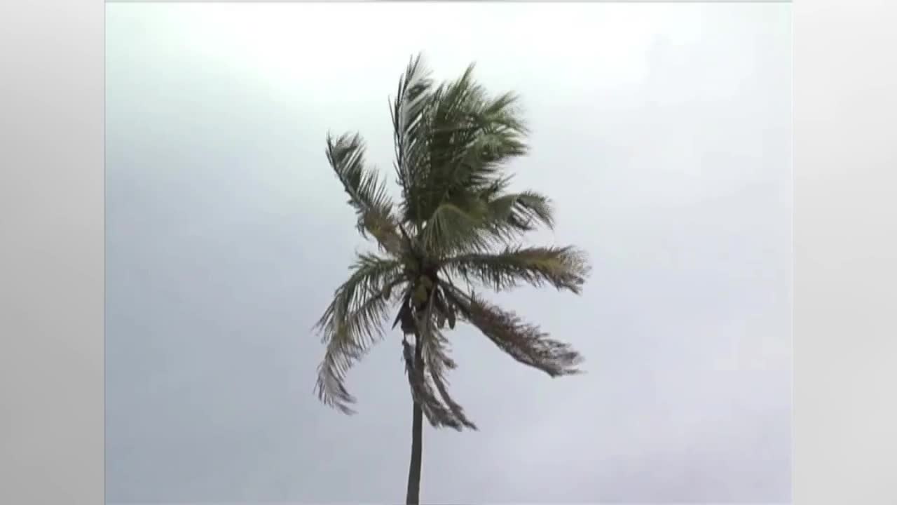 Footage of Lake Worth Beach pier on Saturday, February 22, 2020