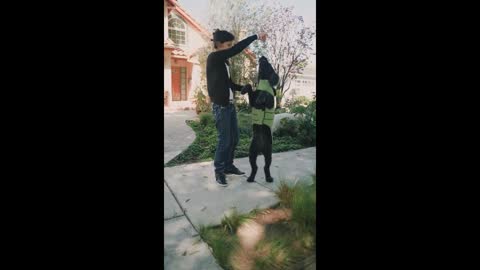 A Woman Training Her Pet