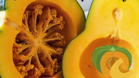 National Acorn Squash Day