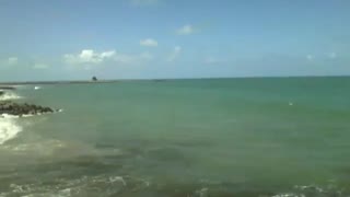 Filming the sea coast near the beach, a magnificent sight [Nature & Animals]