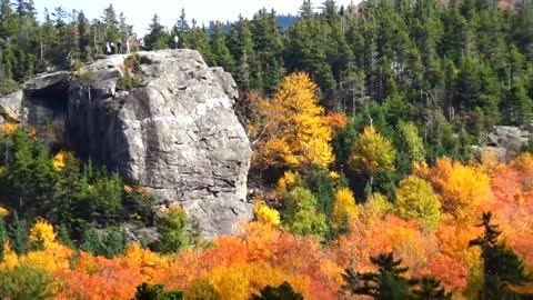 New Hampshire Foliage