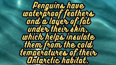 Animal Facts Penguins #shorts