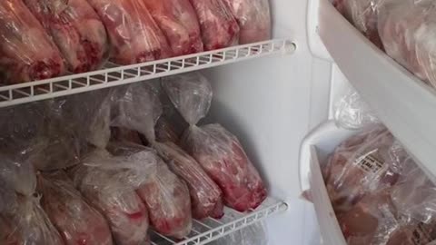 Where To Buy Rabbit Meat Near Me