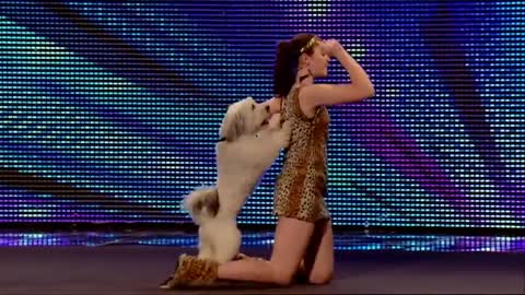 TOP 10 SMARTEST DOG Auditions On Britain And America's Got Talent!