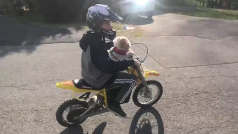 Cute fluffy dog goes on a joy ride living her best life