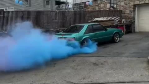 Twins Gender Reveal Burnout