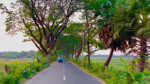 Beautiful nature view in Bangladesh