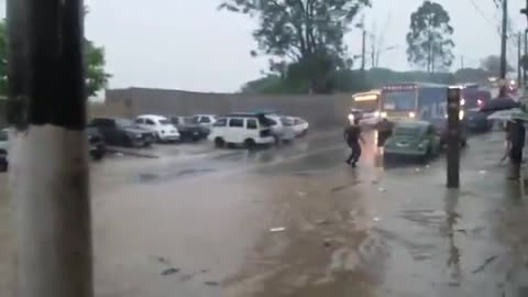 Latest world news Beetle almost covered in water manages to