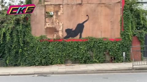 Just kitten around! Man seen scratching at Banksy's new cat artwork