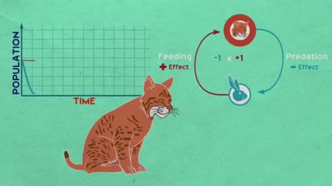 Negative feedback reduces or offsets ecosystem changes