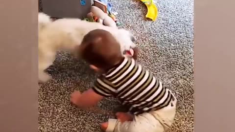 Baby and Doggy Cute Friends