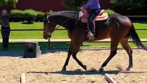 Sammi helping me turn the western pony into an all around 🤩