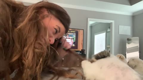 Dog gets Furmom’s Hair