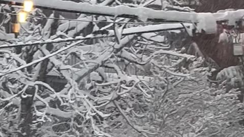 Snowplow Squirrel Cleans Powerlines