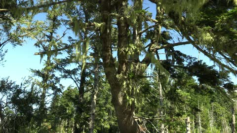 Tseriadun Park, Port Orford, Oregon's Hidden Gem