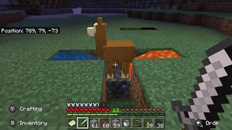 Llama vs Stone Generator, Minecraft Moments 12